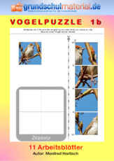 Vogelpuzzle_1b.pdf